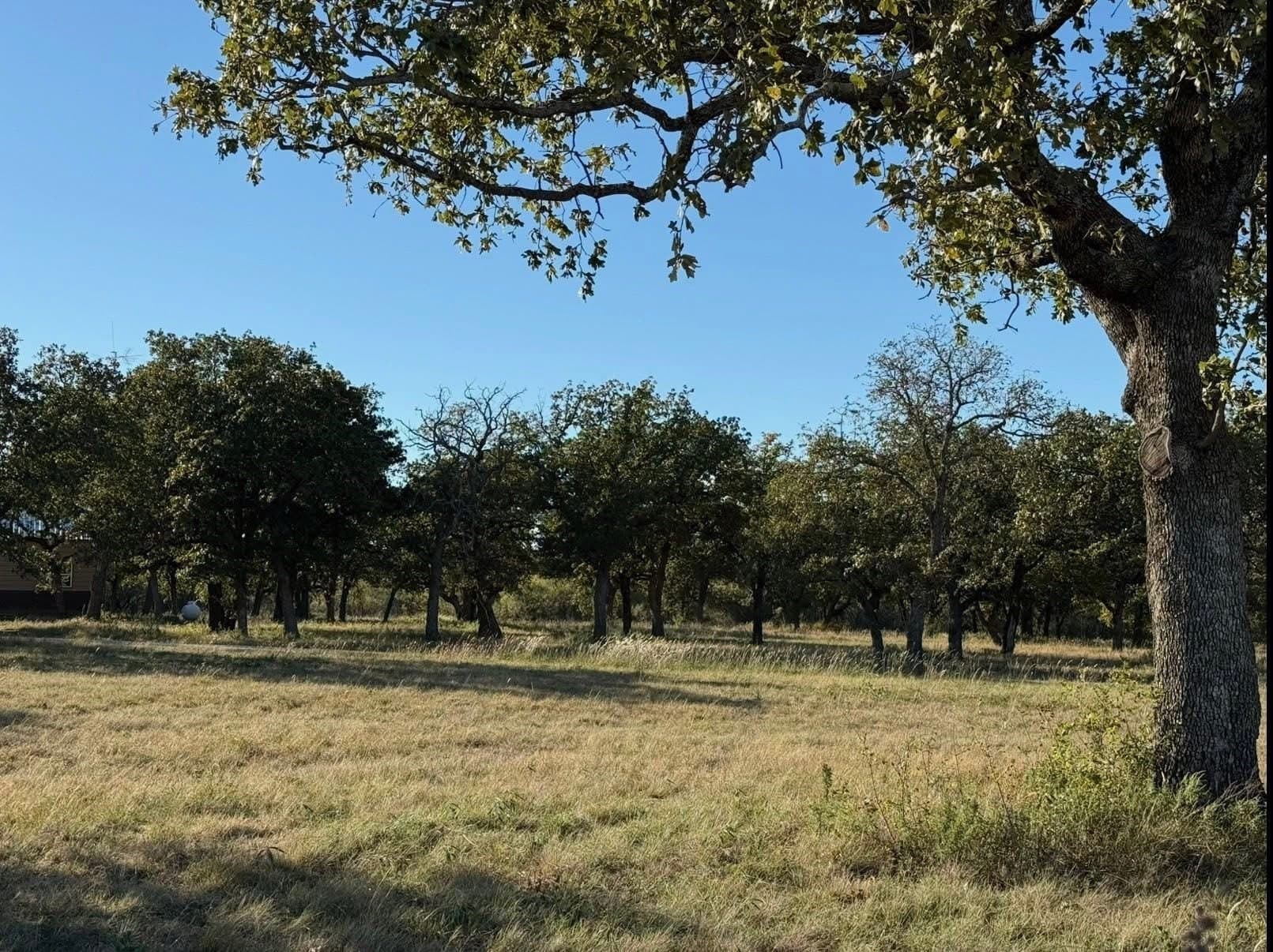 23.85 acres in Comanche County - photo 8