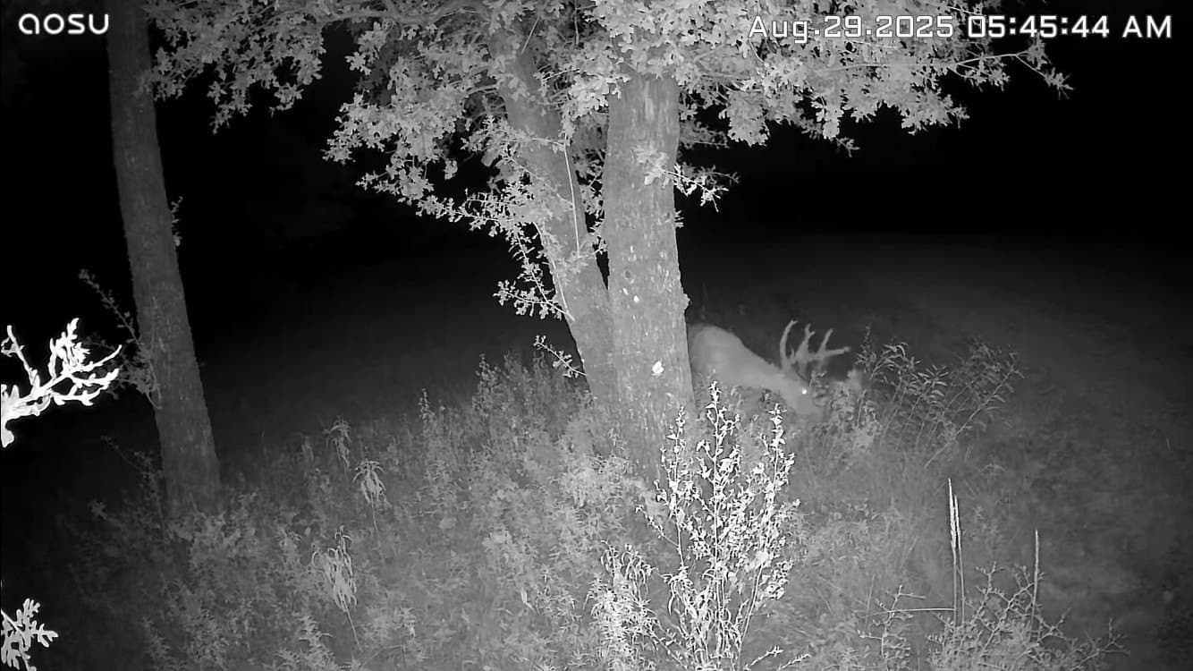 23.85 acres in Comanche County - photo 26
