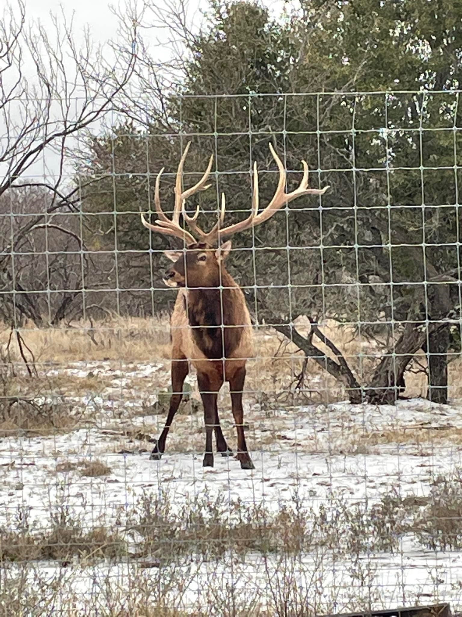 23.85 acres in Comanche County - photo 24