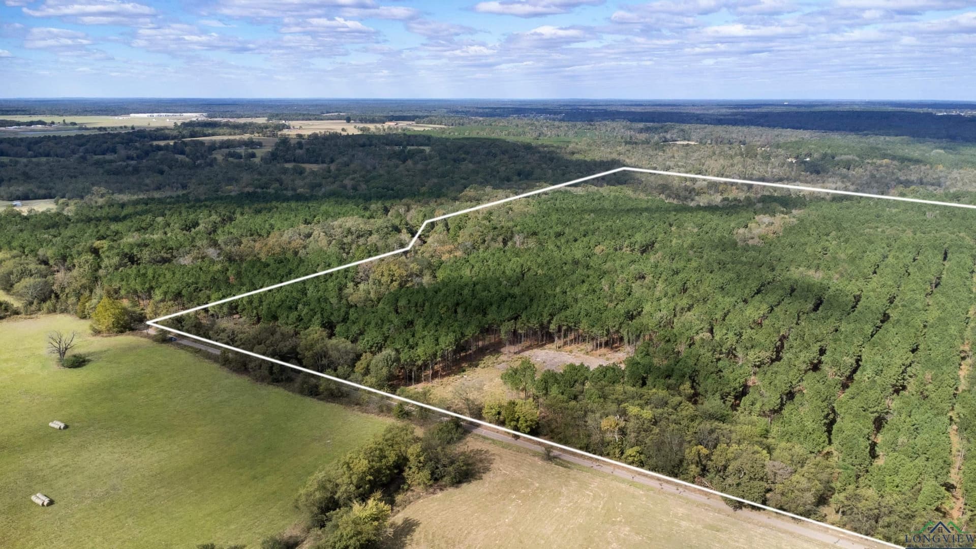 95.04 acres in Upshur County gallery image 4