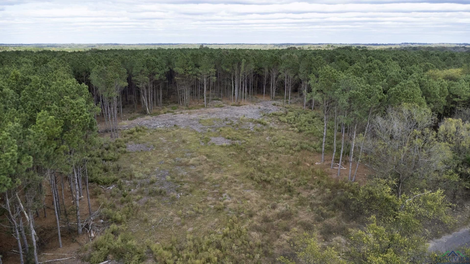 95.04 acres in Upshur County featured view