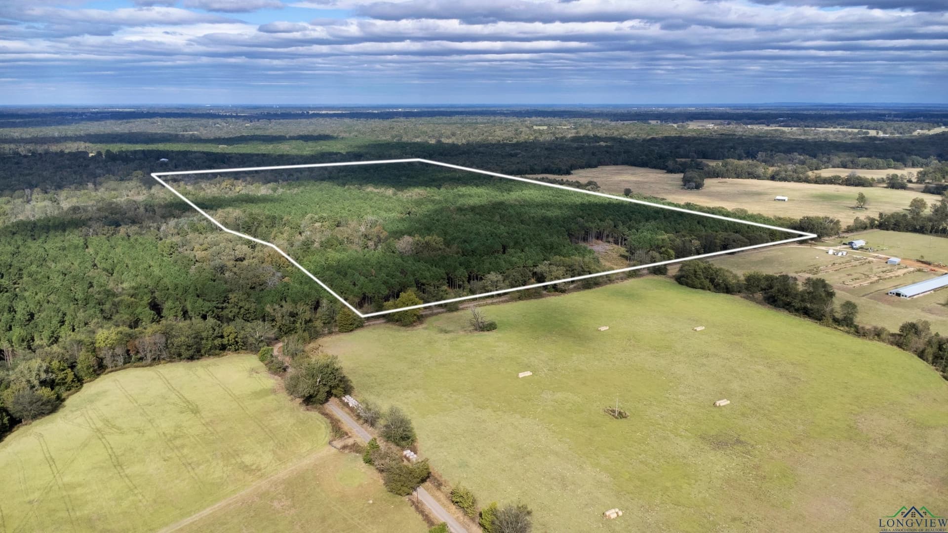 95.04 acres in Upshur County gallery image 2