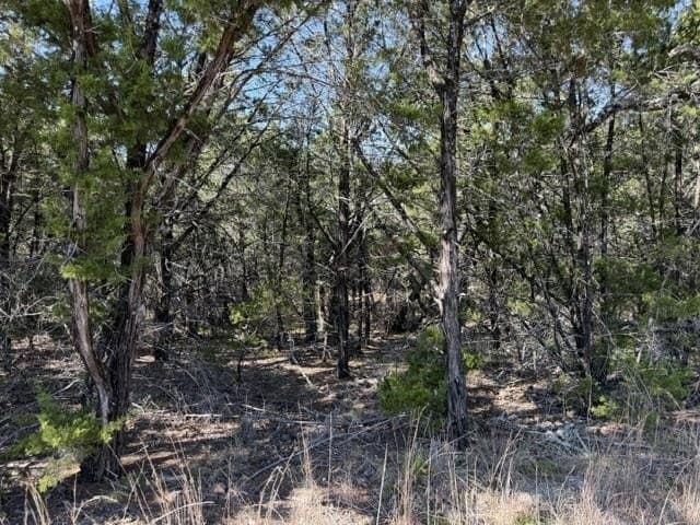 0.22 acres in Burnet County - photo 3