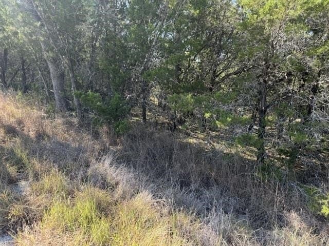 0.22 acres in Burnet County - photo 4