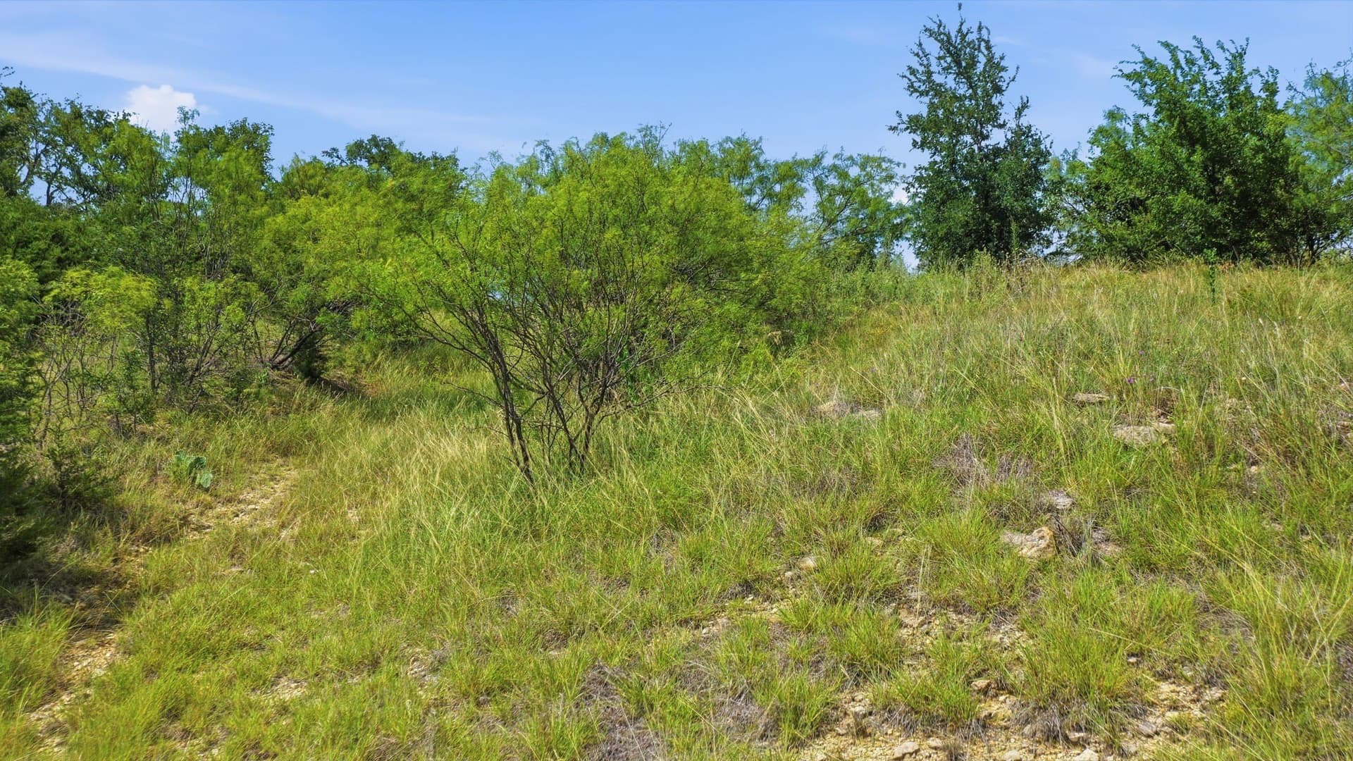 2.11 acres in Palo Pinto County - photo 16