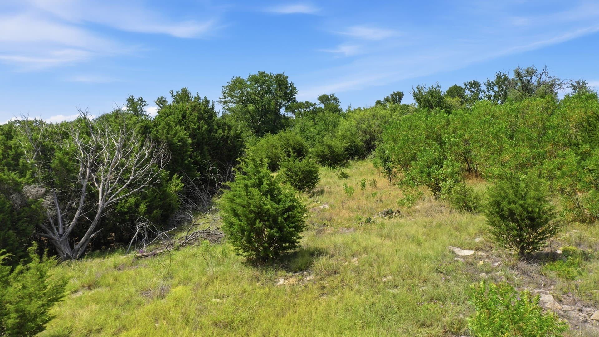 2.11 acres in Palo Pinto County - photo 22