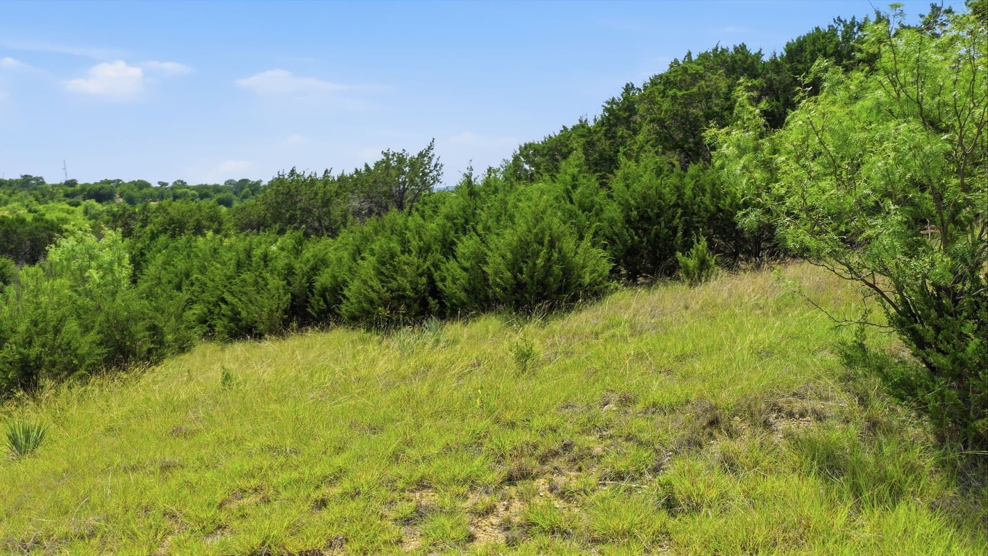 2.11 acres in Palo Pinto County - photo 15