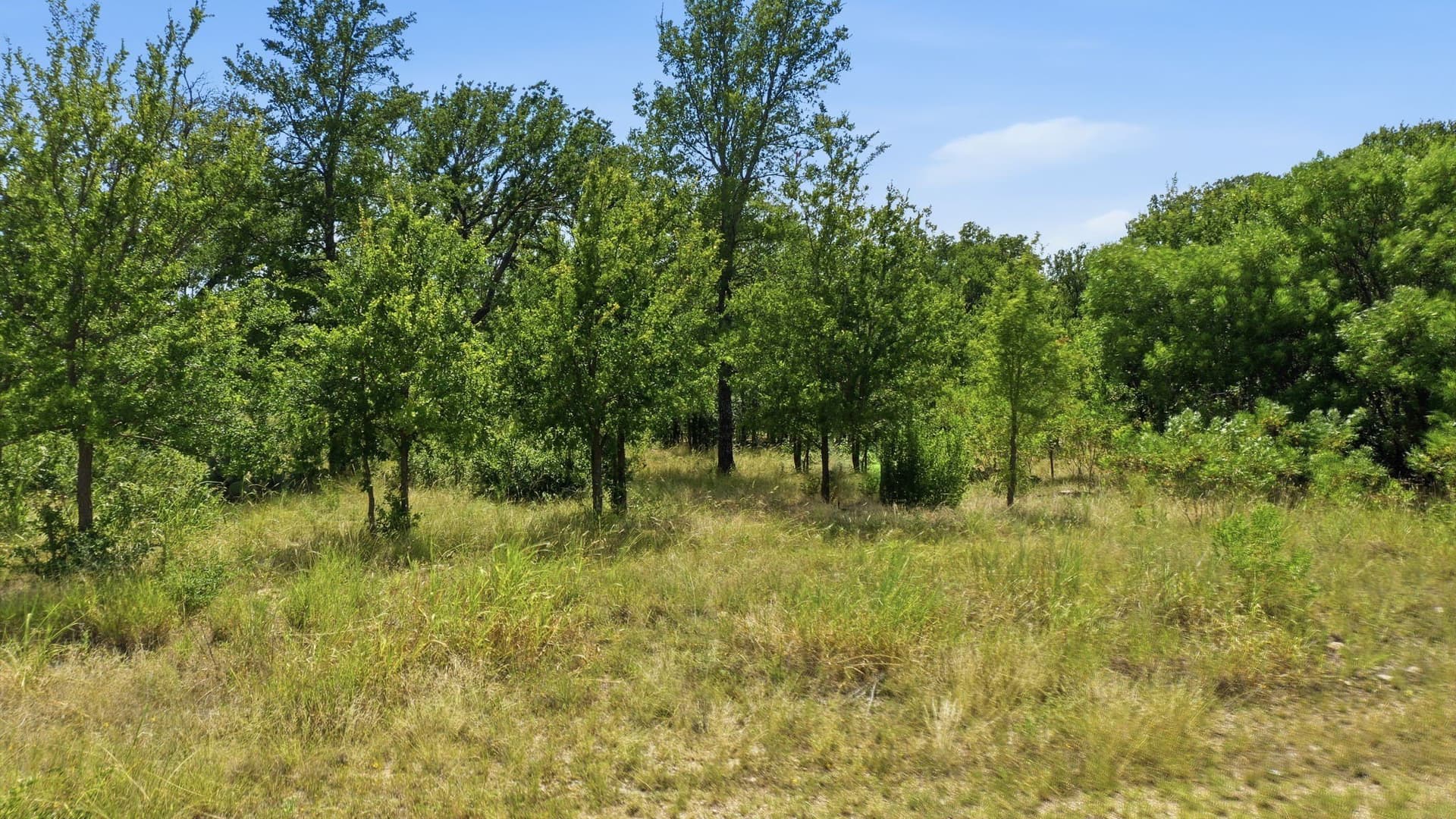 2.11 acres in Palo Pinto County - photo 23