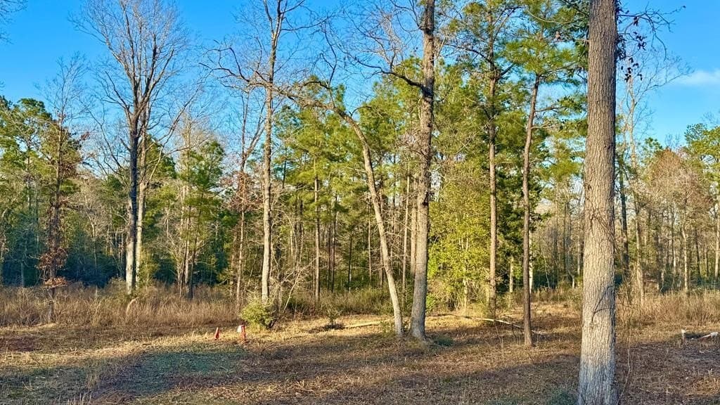 16.58 acres in Texas County