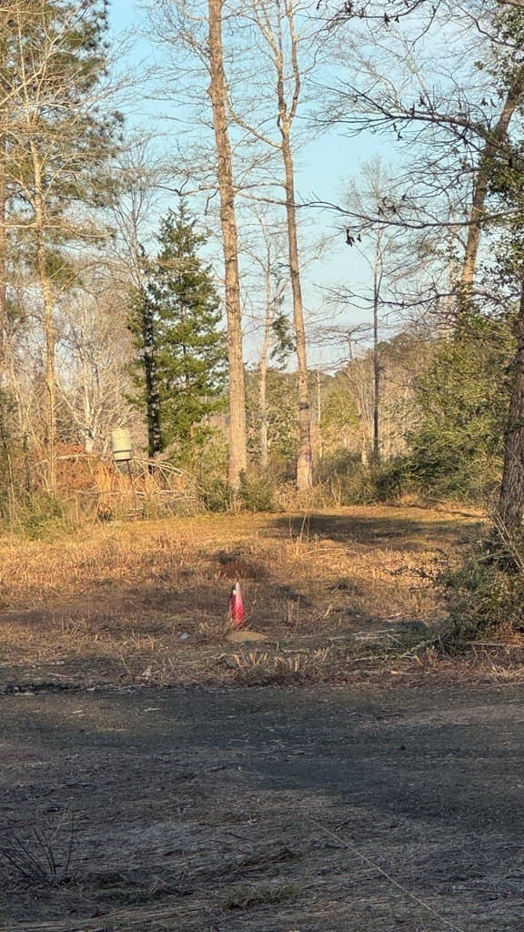 16.58 acres in Texas County featured view