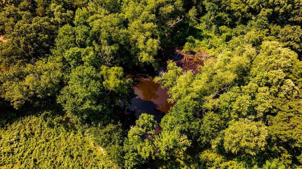 32.48 acres in ANDERSON County - photo 67