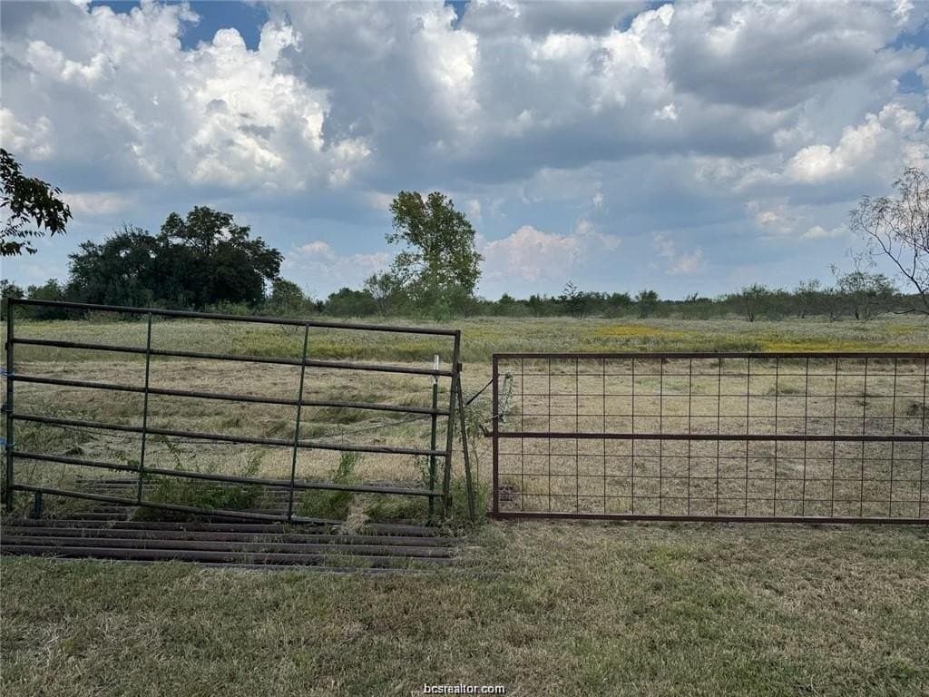 80 acres in Limestone County - photo 8