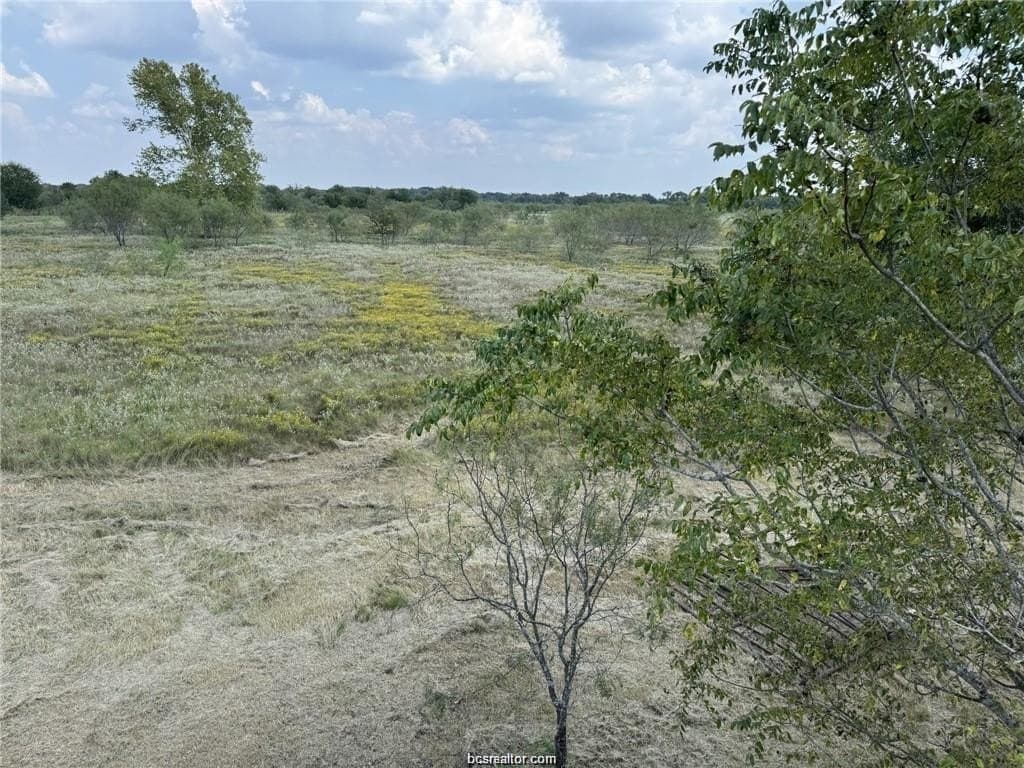 80 acres in Limestone County - photo 5