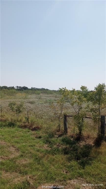 80 acres in Limestone County - photo 6