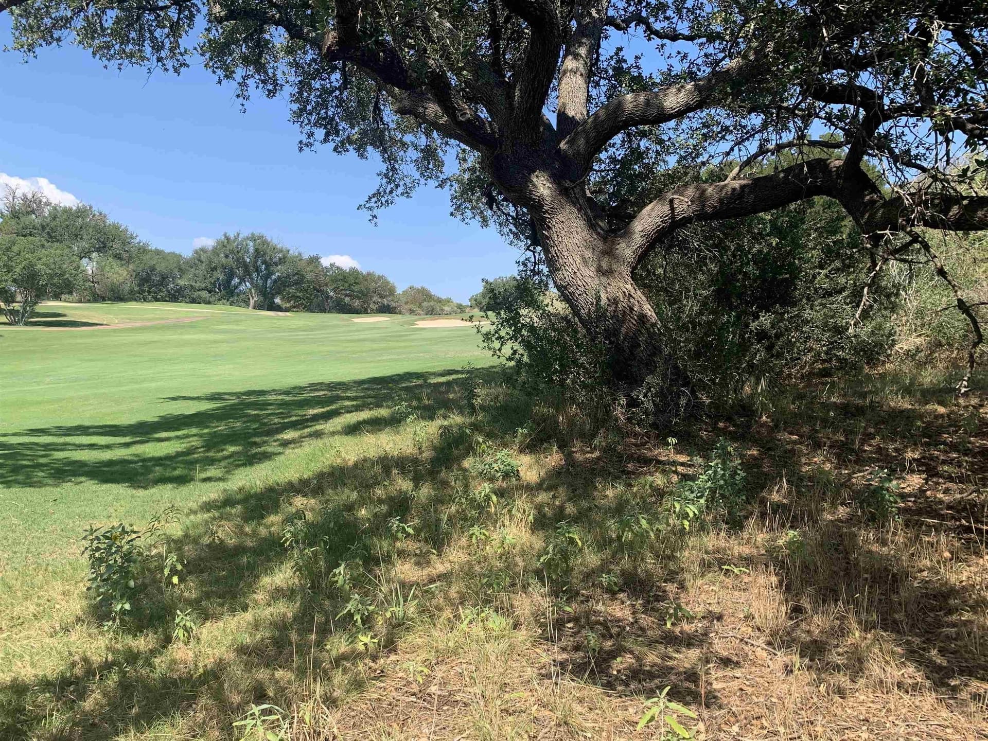 0.63 acres in Llano County - photo 19