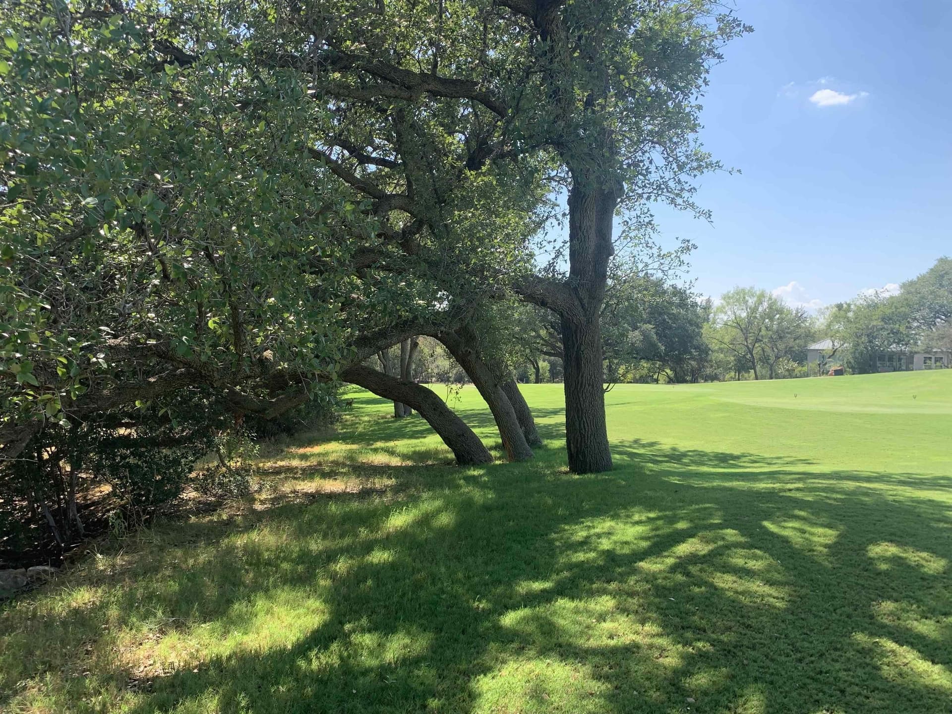 0.63 acres in Llano County - photo 17