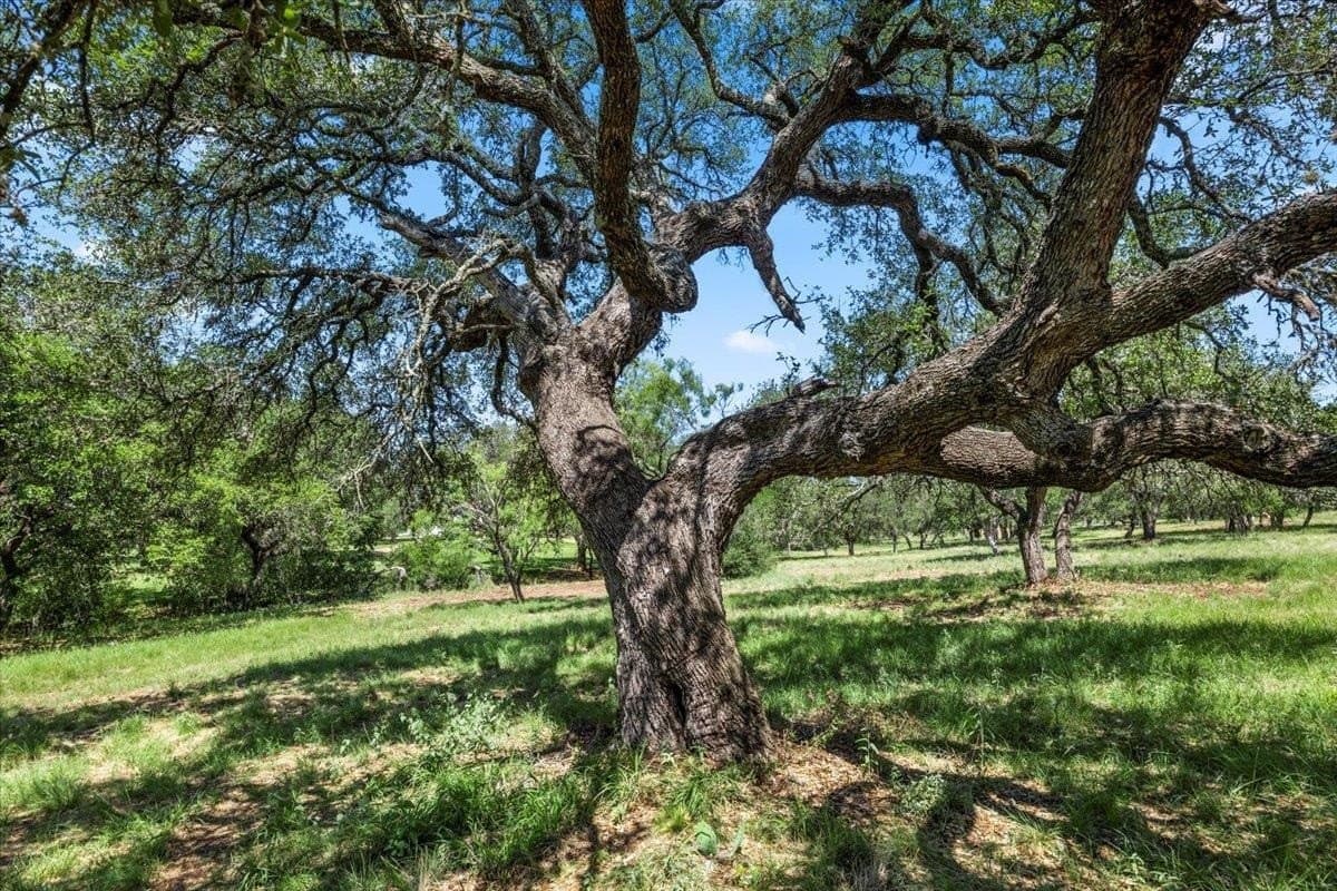 0.63 acres in Llano County - photo 14