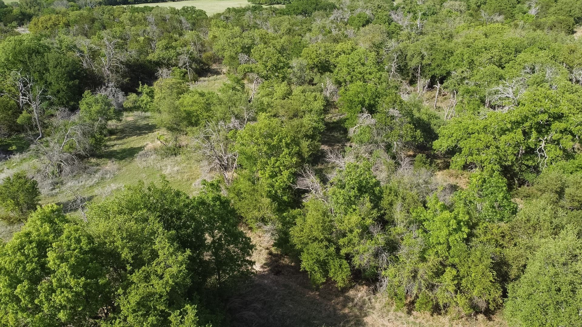 54.9 acres in Hamilton County - photo 39