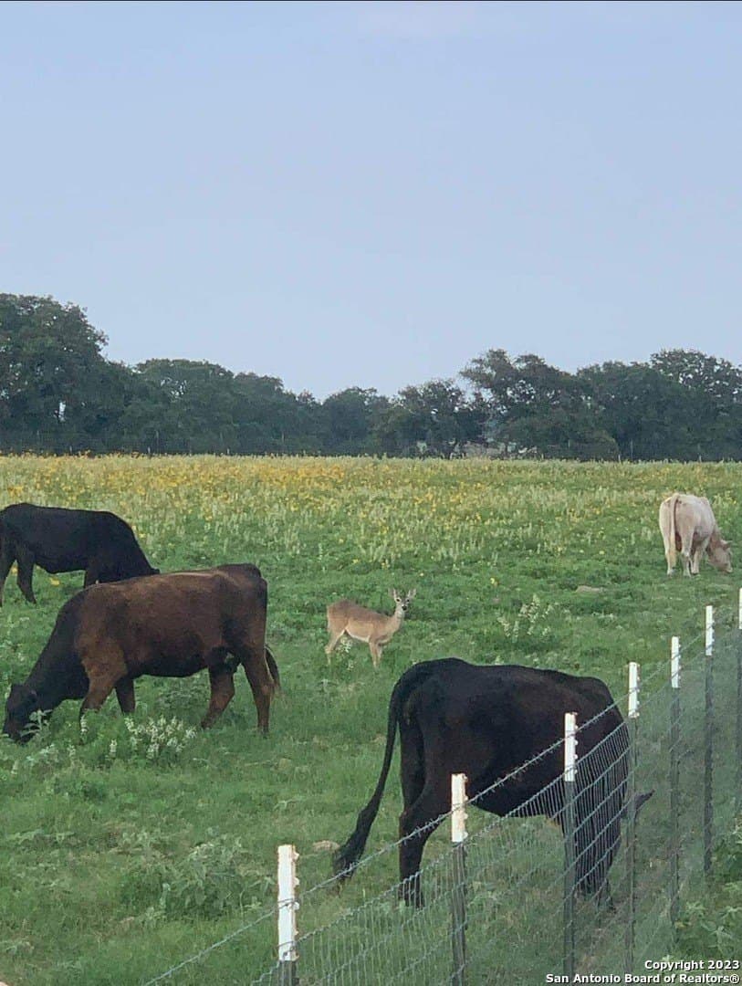 11 acres in Wilson County - photo 28