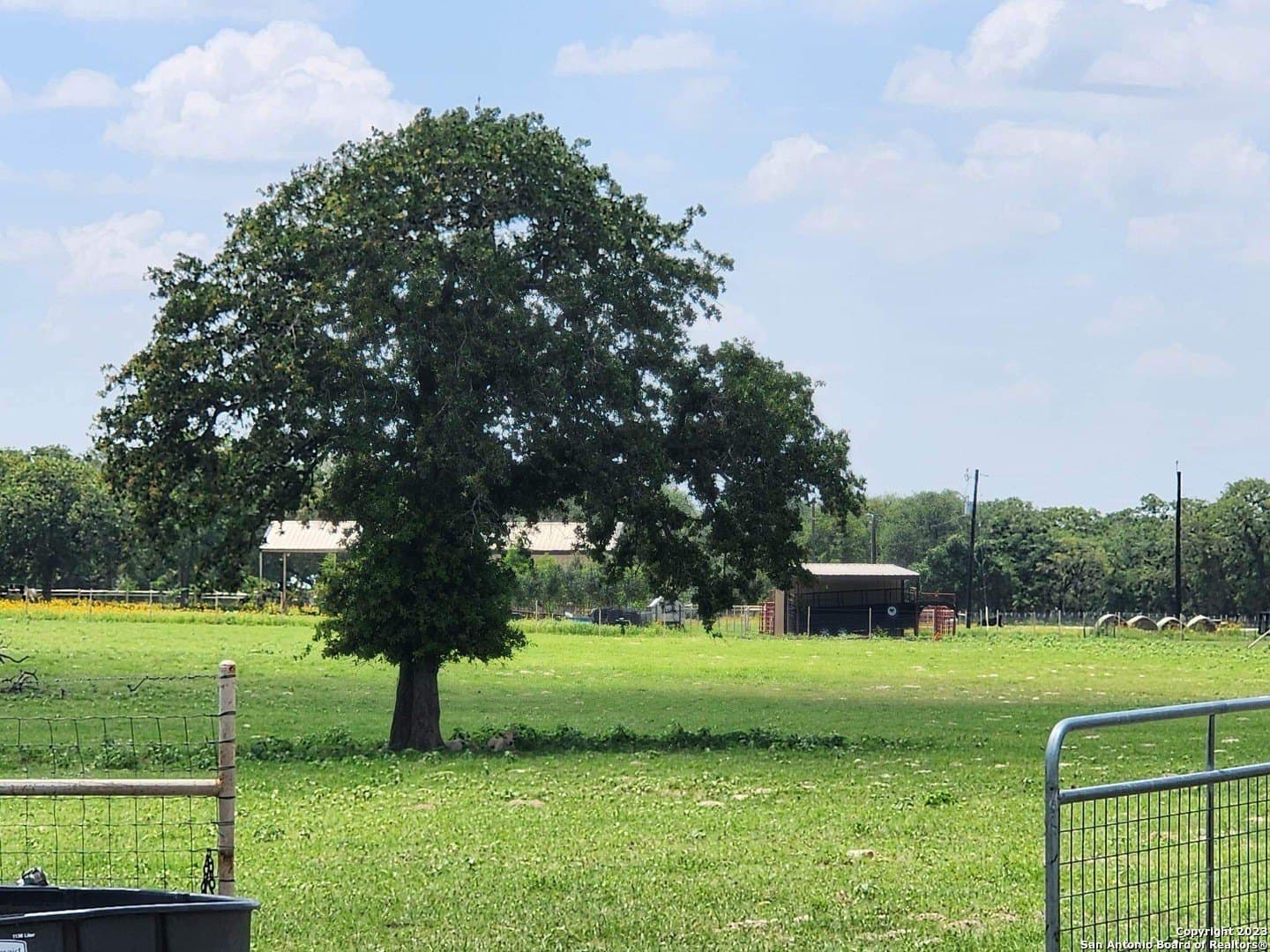 11 acres in Wilson County - photo 29