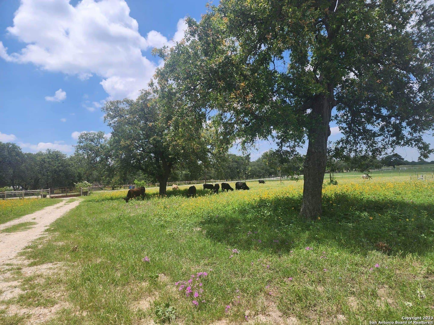 11 acres in Wilson County - photo 9