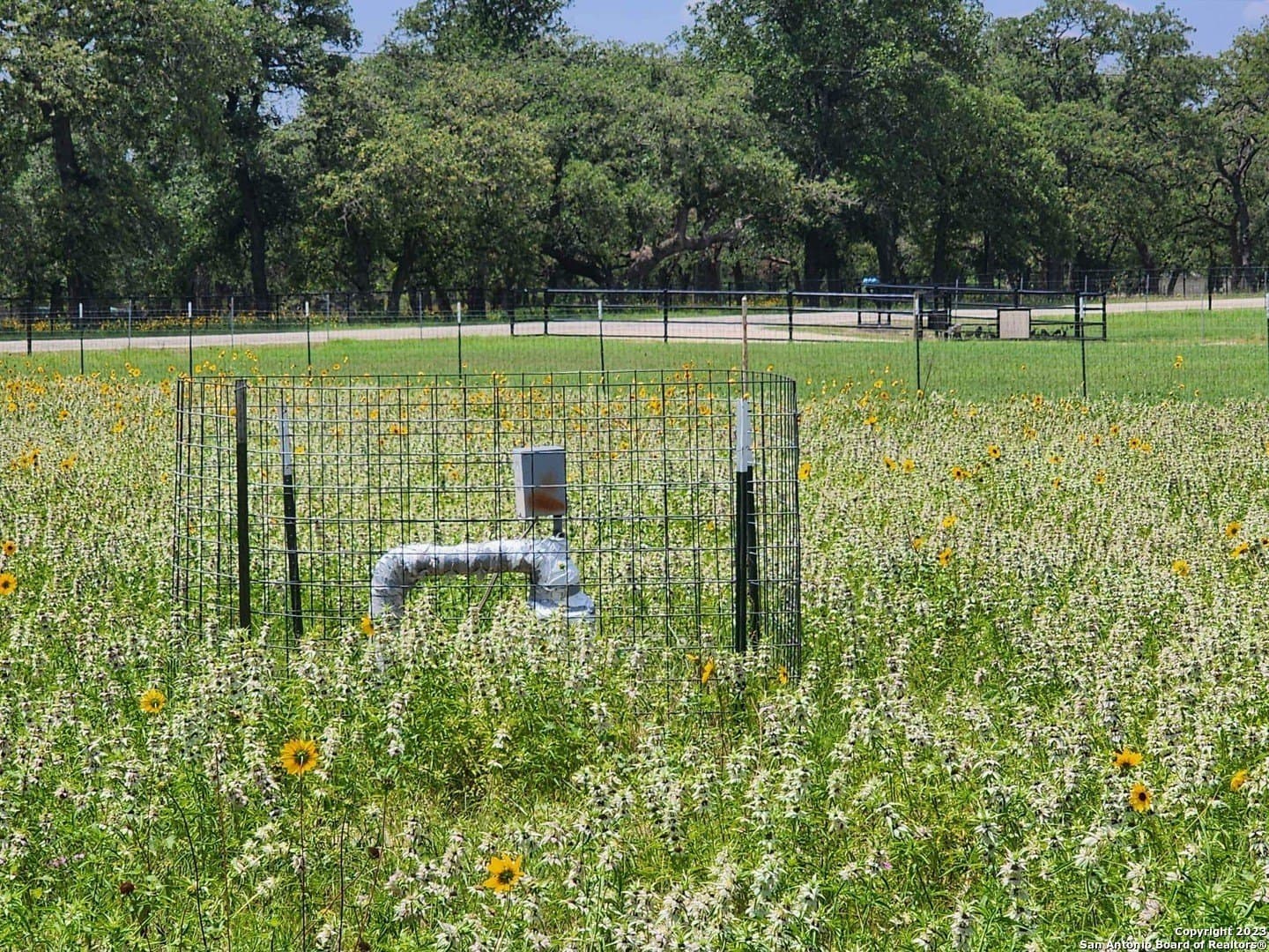 11 acres in Wilson County - photo 8