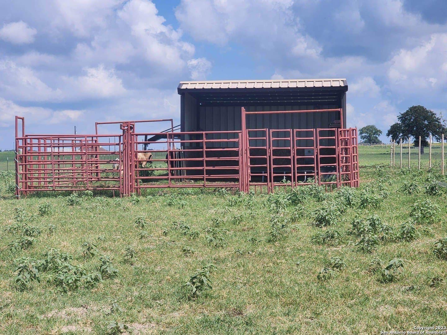 11 acres in Wilson County - photo 15