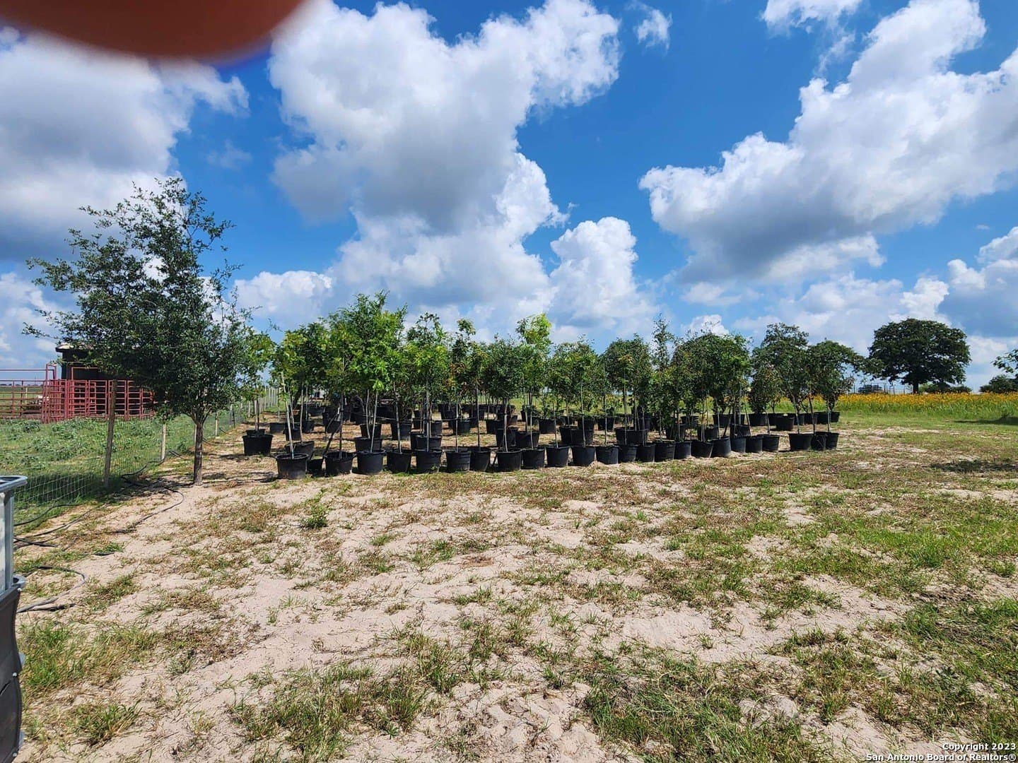 11 acres in Wilson County - photo 19