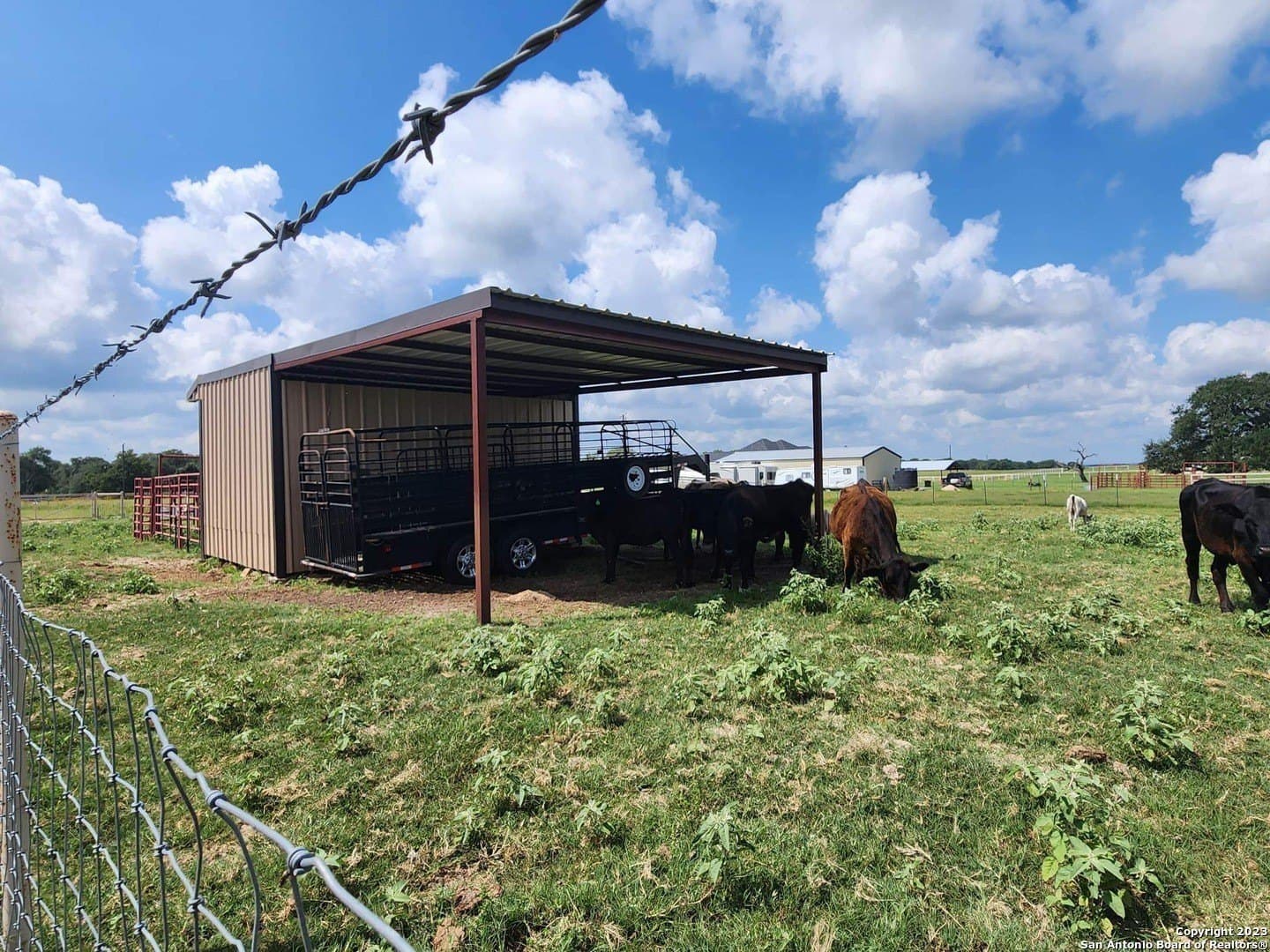 11 acres in Wilson County - photo 20
