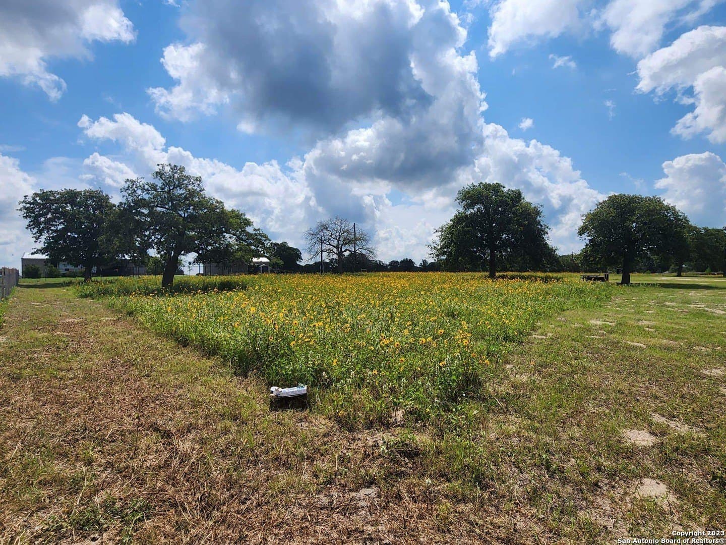 11 acres in Wilson County - photo 22
