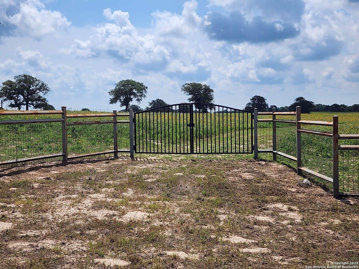 11 acres in Wilson County - photo 26