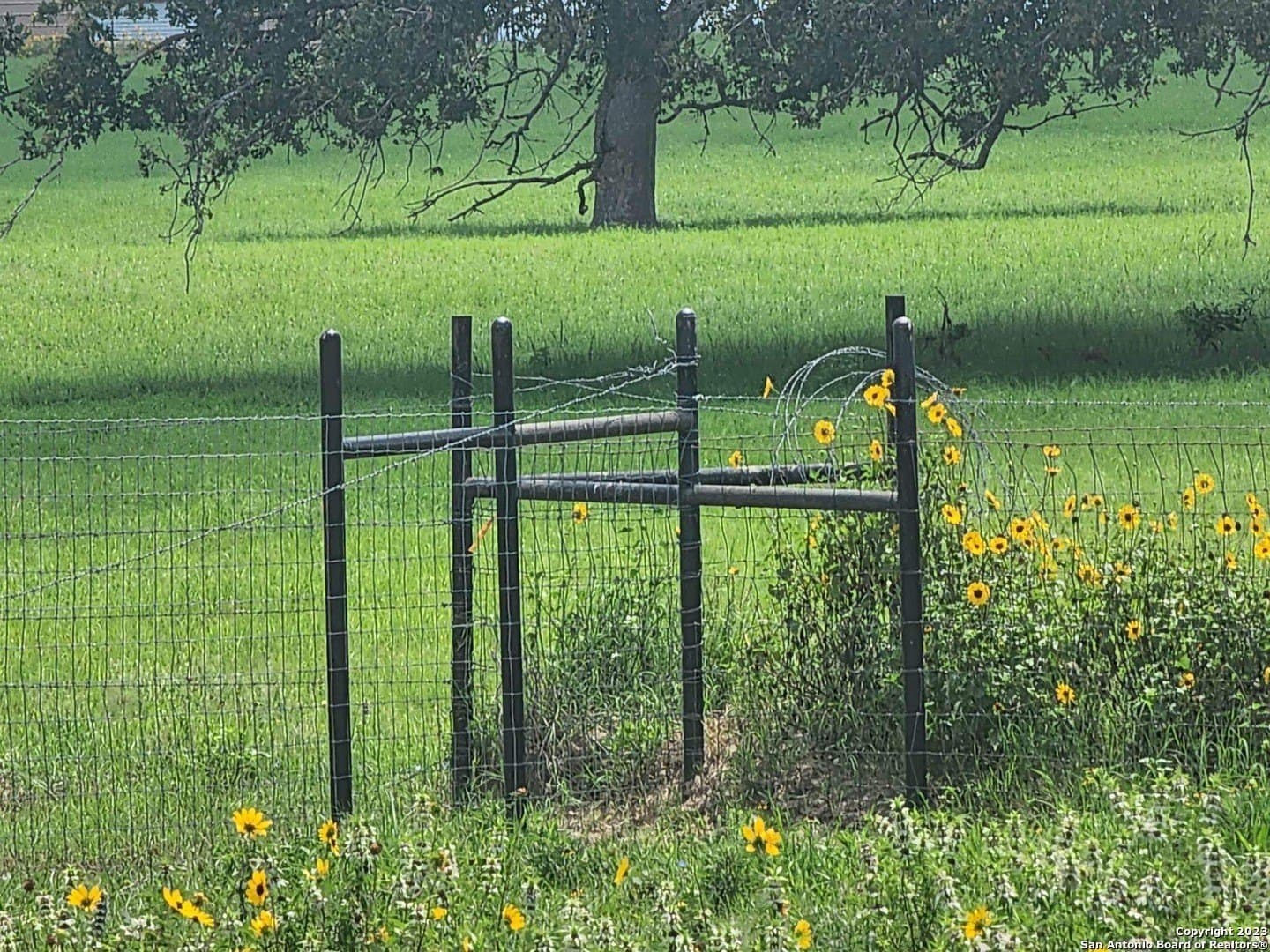 11 acres in Wilson County - photo 32