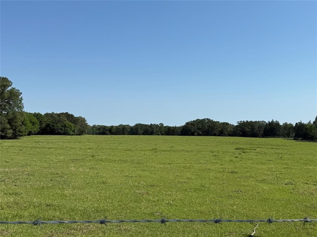 6.63 acres in Titus County gallery image 3