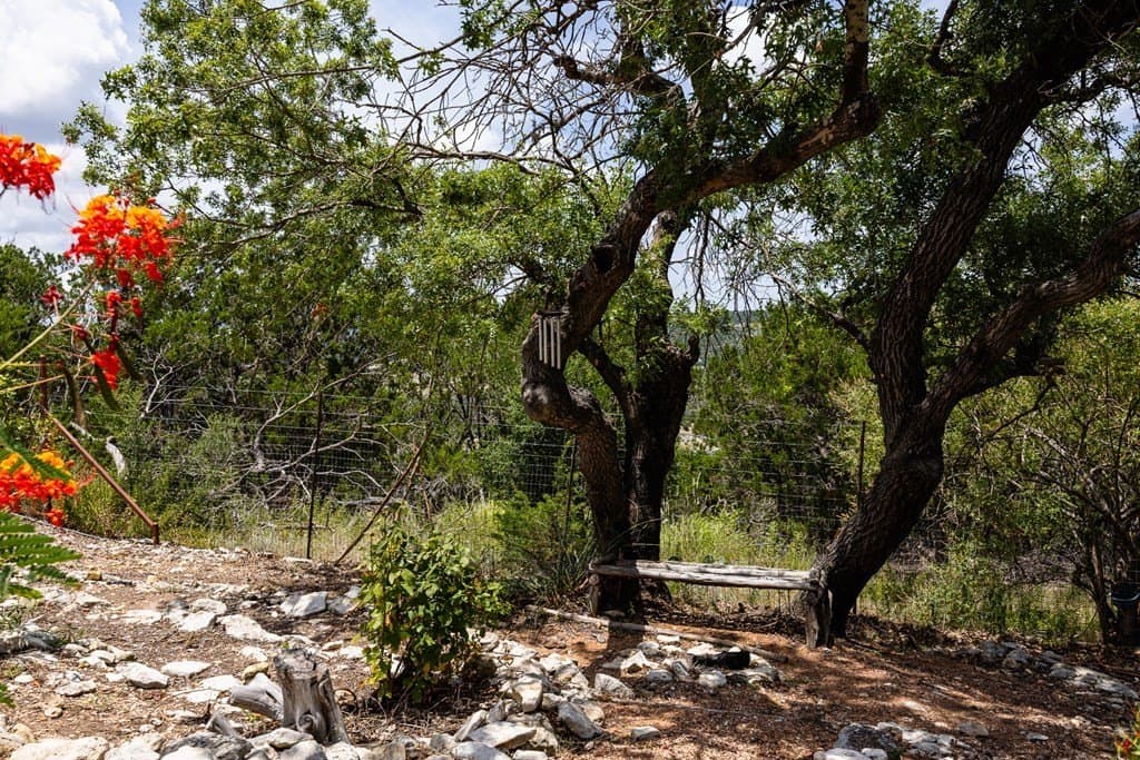 10 acres in Kerr County - photo 28