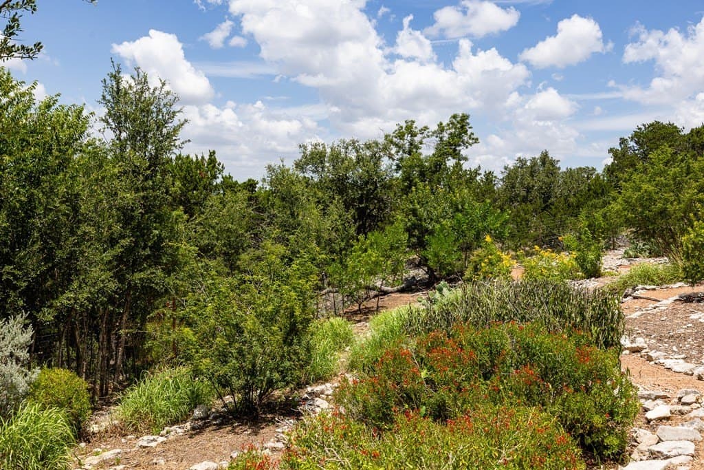 10 acres in Kerr County - photo 27