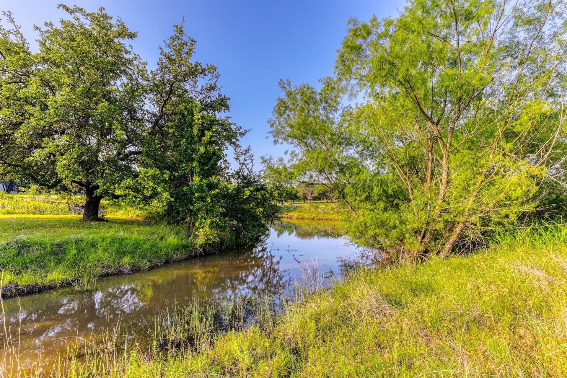 1.5 acres in Parker County gallery image 3