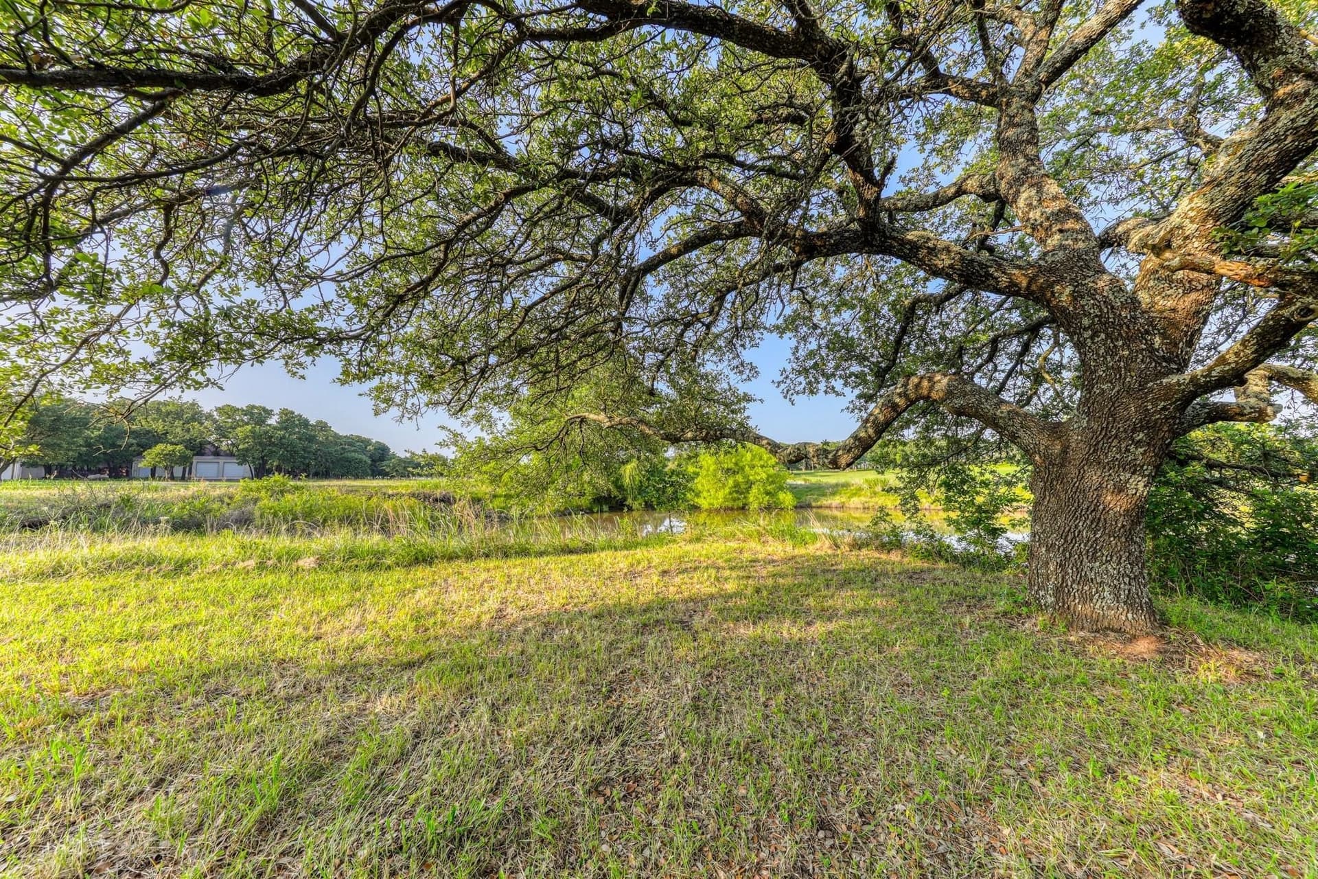 1.5 acres in Parker County