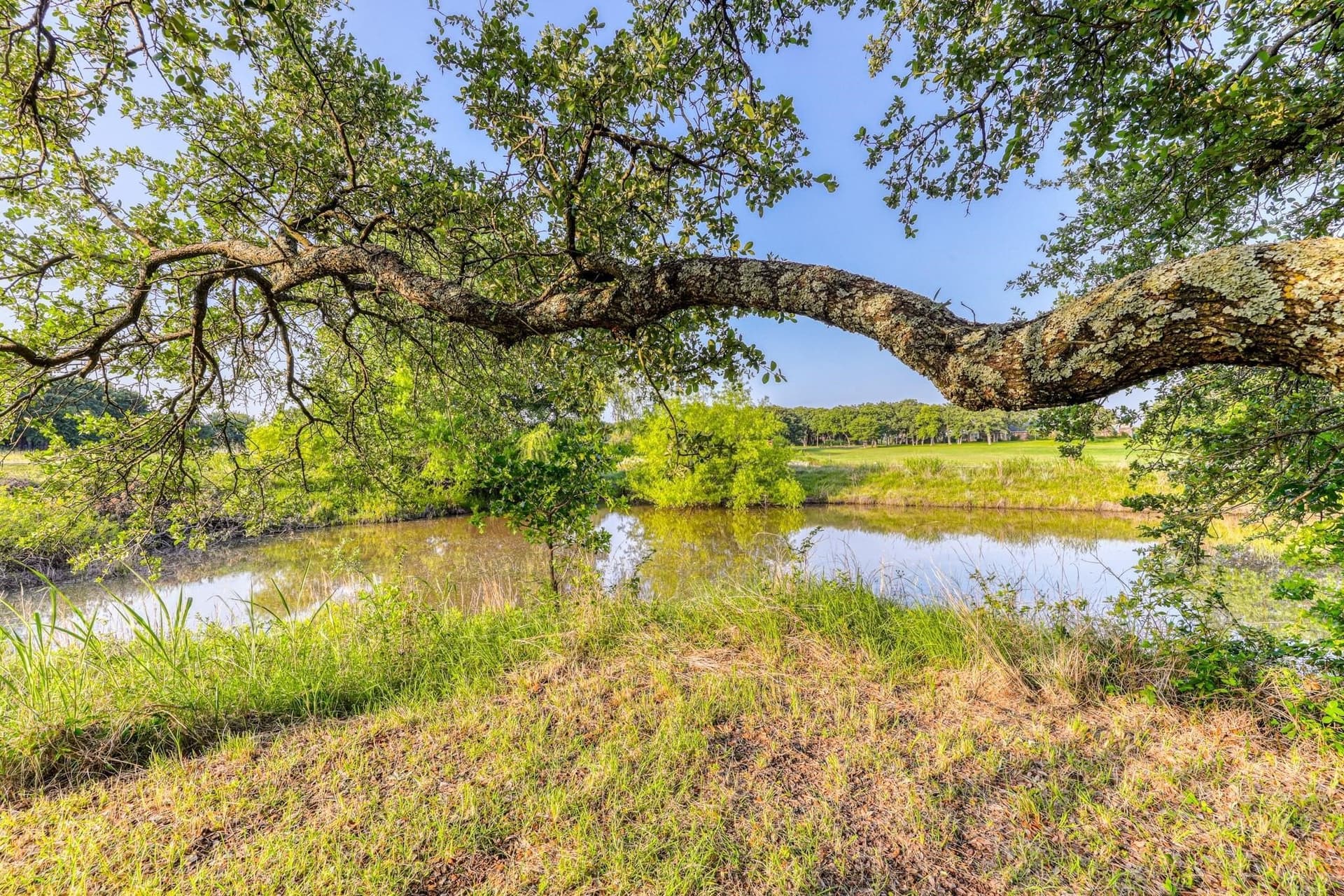 1.5 acres in Parker County gallery image 4