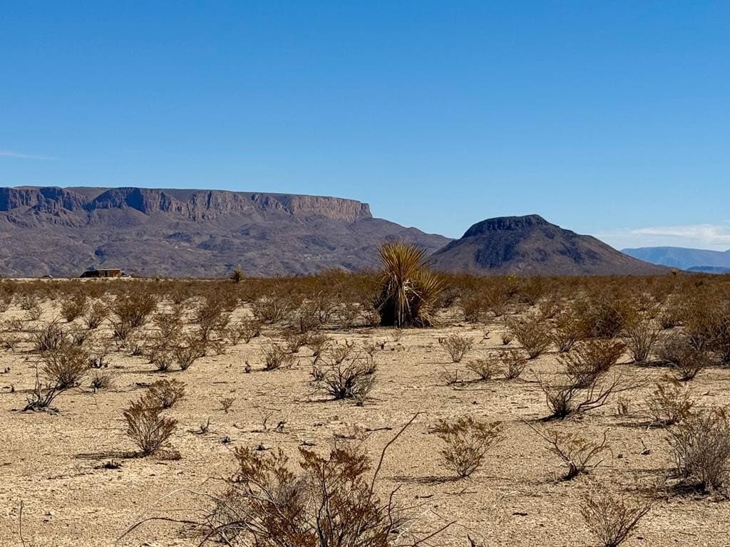 5 acres in Brewster County