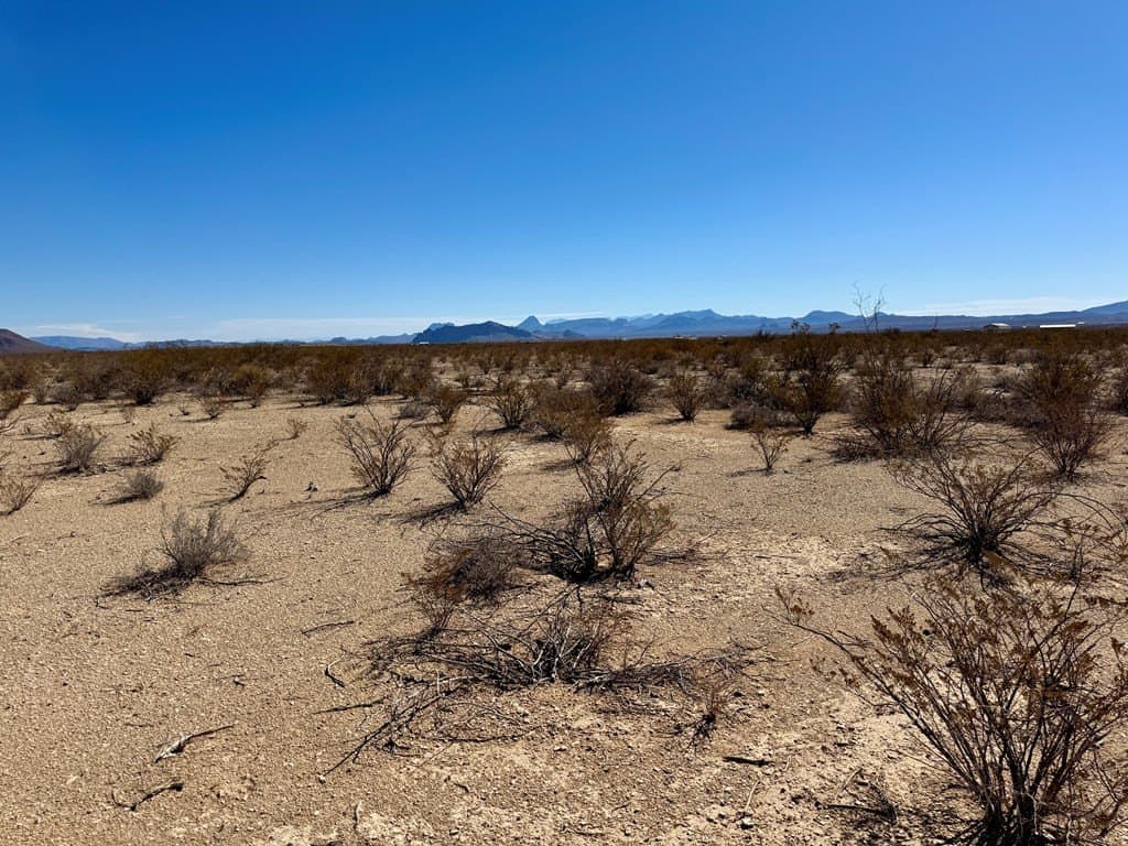 5 acres in Brewster County gallery image 2