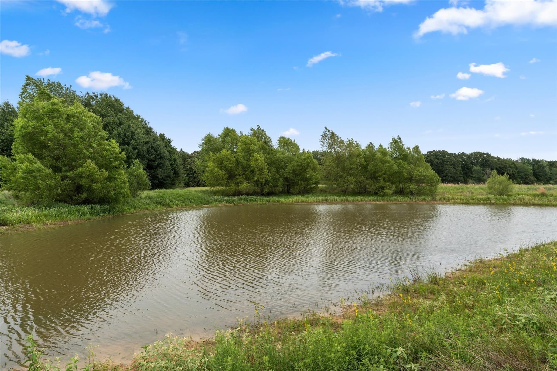 12 acres in Navarro County - photo 16