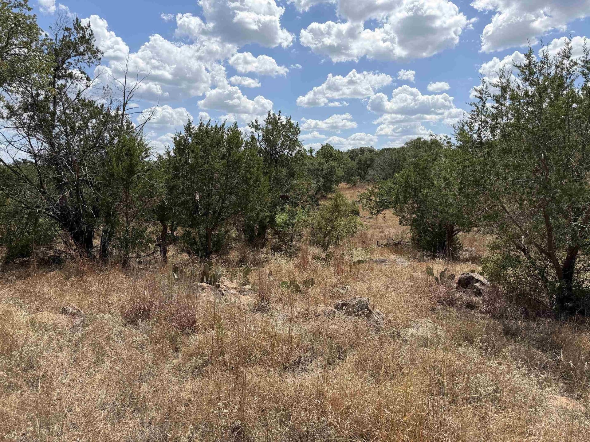 0.24 acres in Llano County - photo 6