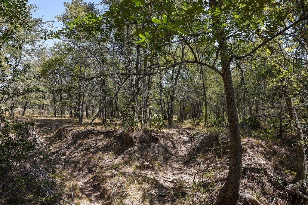 50 acres in Fayette County - photo 22