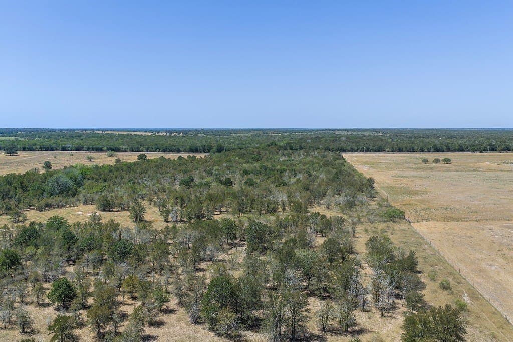 50 acres in Fayette County - photo 2