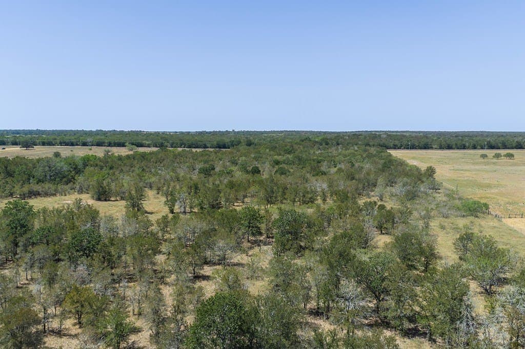 50 acres in Fayette County - photo 5