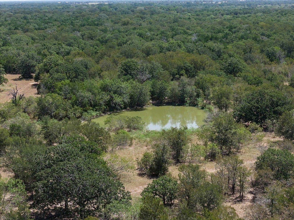 50 acres in Fayette County - photo 28