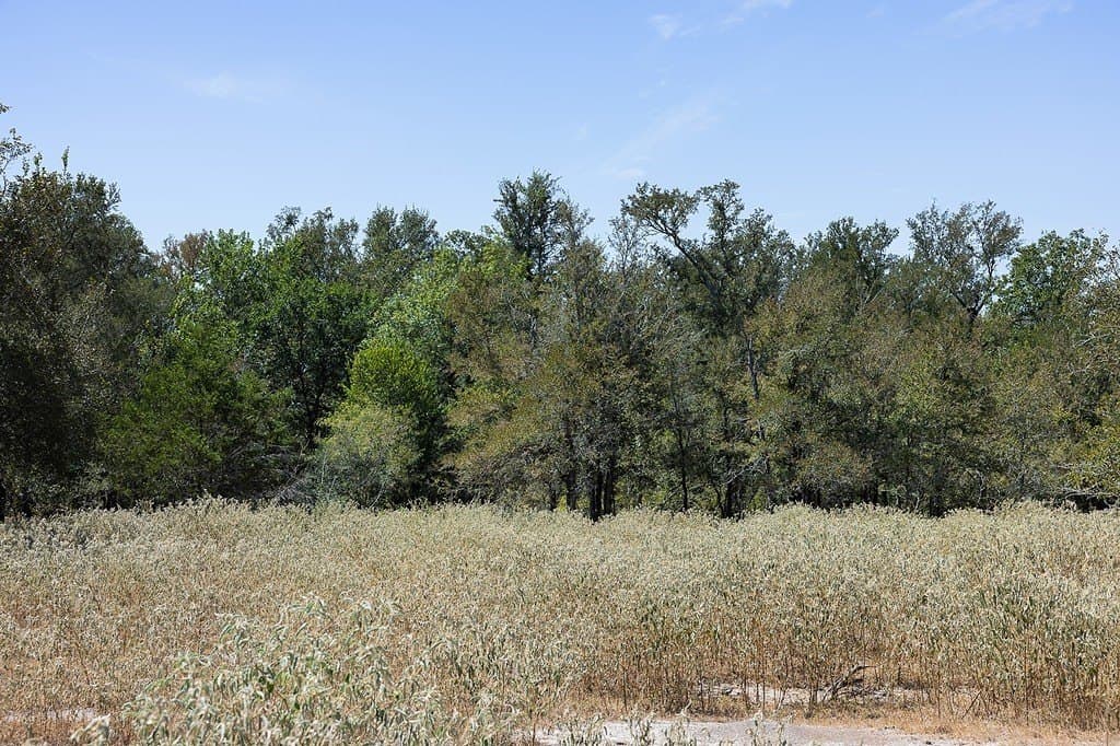 50 acres in Fayette County - photo 13