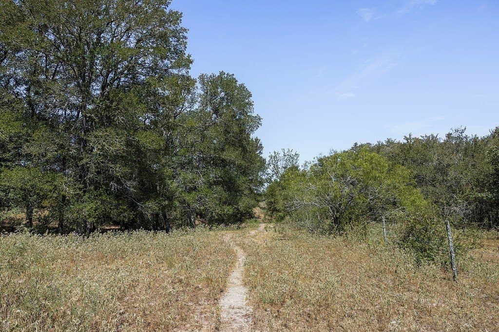 50 acres in Fayette County - photo 20