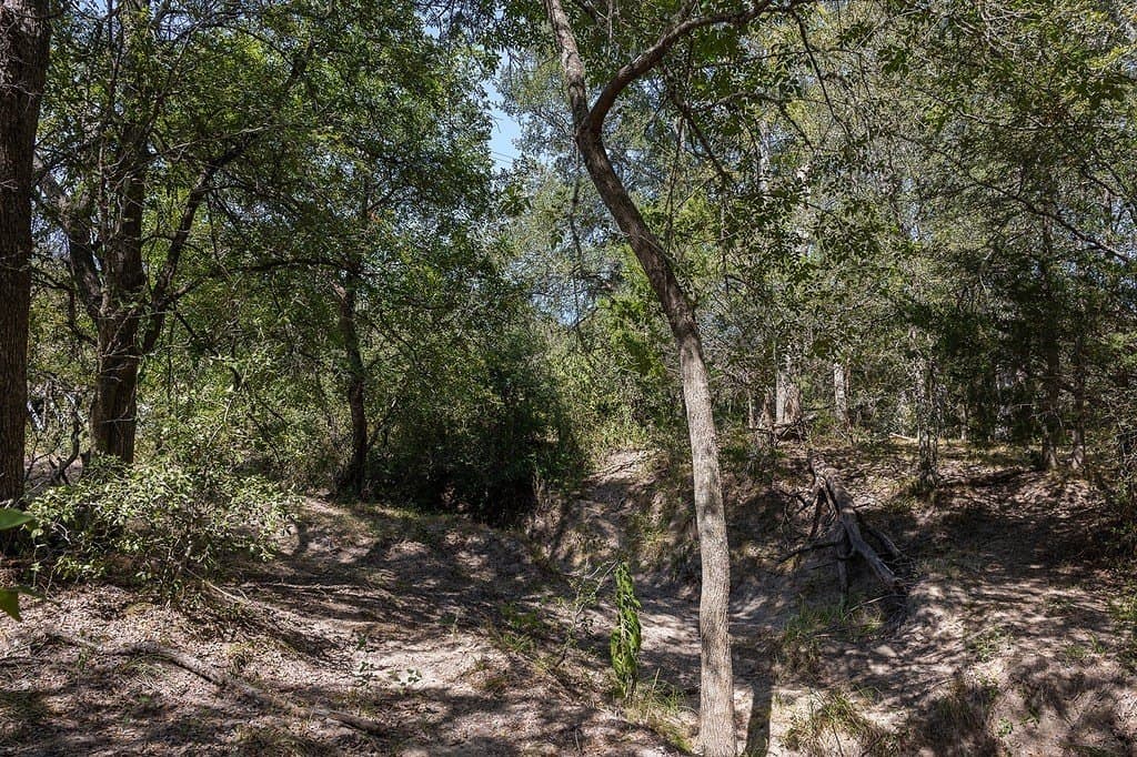 50 acres in Fayette County - photo 23