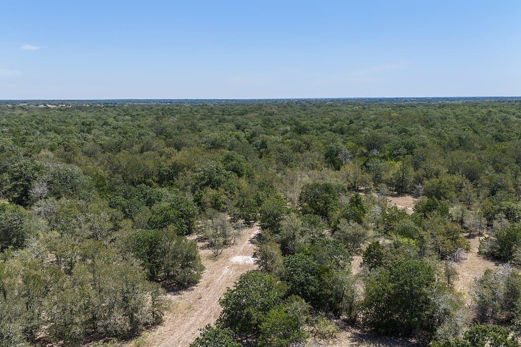 50 acres in Fayette County - photo 24